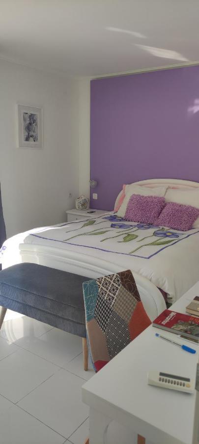 Chambres D'Hotes Les Iris 索斯佩勒 外观 照片